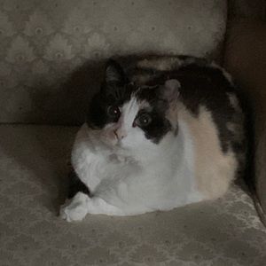 Meet your Posher, Michele